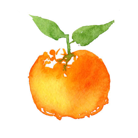 Bright watercolor tangerines on a white background. Hand painted illustrationの写真素材