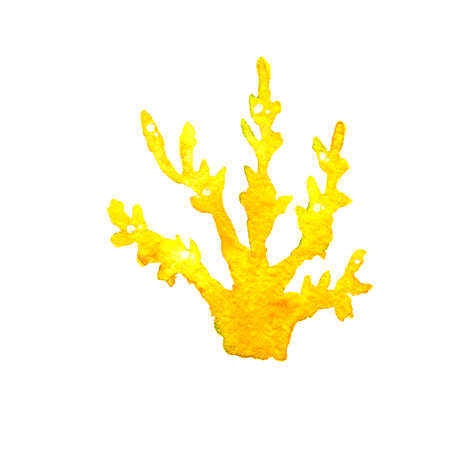 Watercolor illustration of the yellow coral reefs on a white background. Hand drawn on paper.の写真素材