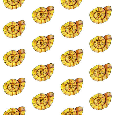 Seamless pattern. Hand paint watercolor yellow seashell on white background.の写真素材