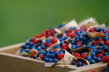 Fresh blueberries and raspberries wrapped in kraft paperの写真素材