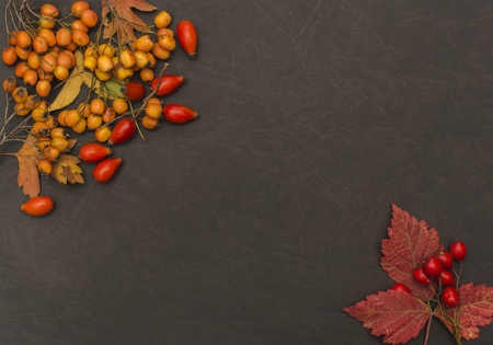Autumn background with fall leave and fruits on black backgroundの写真素材