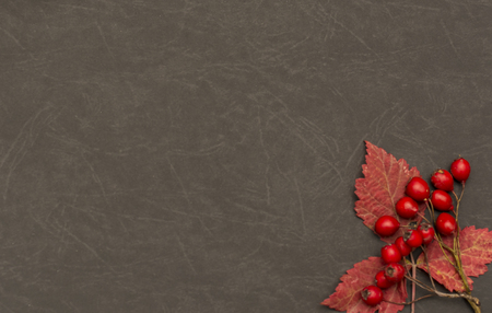 Autumn background with fall leave and fruits on black backgroundの写真素材