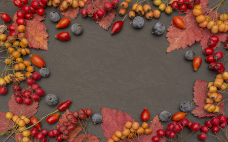Autumn background with fall leave and fruits on black backgroundの写真素材