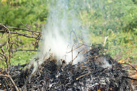Bush on fire outdoor. Burning dry grass. Fire and smoke. background conceptual Dangerous fires and smokesの写真素材