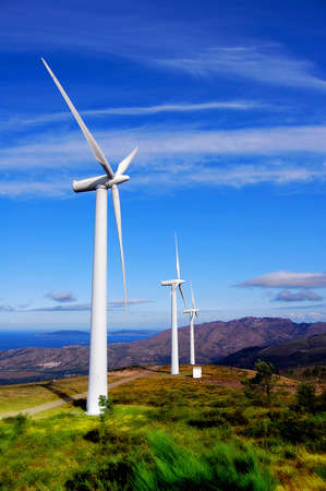 Wind Turbines on the Sea Coast.