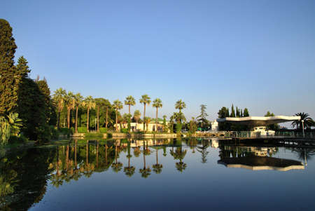 Lake in summerの写真素材