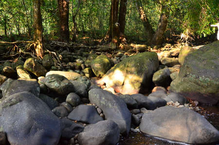 Rocks in the shadeの写真素材