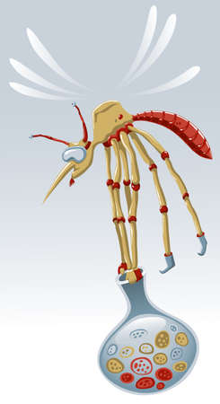 illustration of malaria mosquito carrying a flask full of malaria parasitesのイラスト素材