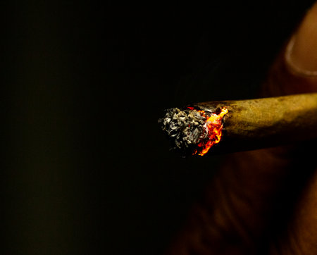 Macro shot of a lit rolled cigarette isolated on the black background with little flame.