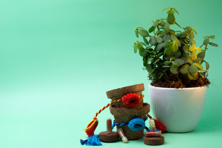 Planting seeds of love and care this Raksha Bandhan