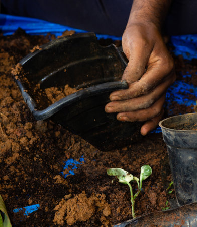 A man's hand holding an indoor plant pot half filled with organic coco peat on top of a heap of coco...