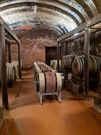 Wine barrels in the storage area of wine.の写真素材