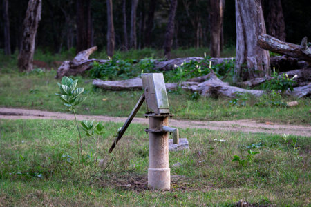 Close up shot of a hand pump in middle of a forestの写真素材
