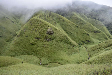Landscape from Dzukou Valley, Nagaland