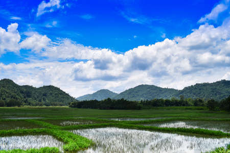 Beautiful hills and wetlands under blue sky and cloud backgroundの写真素材