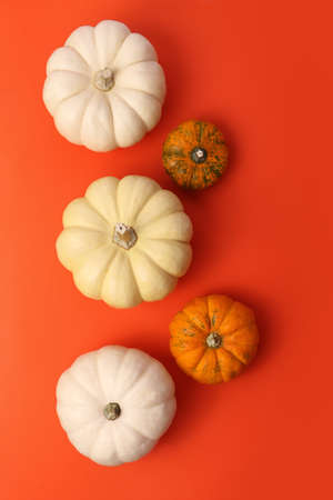 omposition from the big with and small orange pumpkins.Vertical banner with copy space.Concept of...