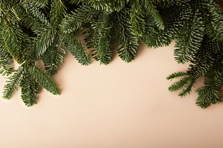 Beige horizontal background with border made from Christmas tree branches. Copy space for text,...