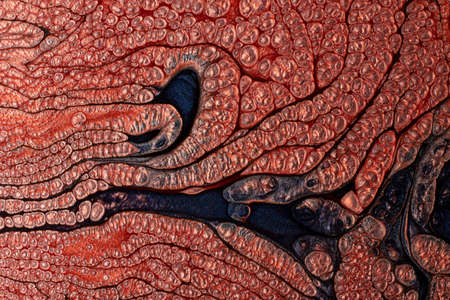 Bubbly textured stains of liquid nail polish,fluid art technique.Orange and blue colors.Shimmer marble background.Unusual texture.Nail lacquer flow modern backdrop. Minimalism concept.Copy space.の写真素材