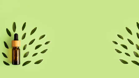 Cosmetic bottle with dropper on the mint background.Fresh green leafs around.Concept of the zero waste,organic packaging.の写真素材