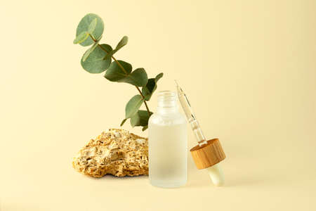 Composition from the natural materials and cosmetics bottle with dropper.Copy space for text or design.の写真素材