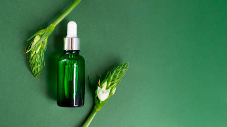 Green cosmetics bottle on the deep green background.Foliage with white flowers around, looks like frame.Cosmetic mockup with copy space, large banner.の写真素材