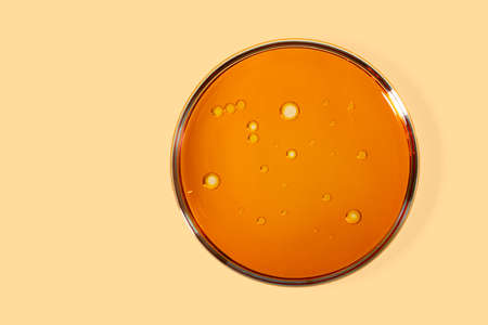 Top view of petri dish with cosmetic oil inside. Yellow background with copy space.