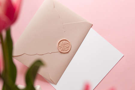 Photography from above of group of gift certificates.Tender pink color,banner with copy space.の写真素材