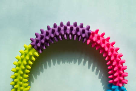 Top view of the chewy toy for domestic pets,copy space.