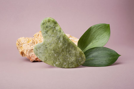 Closeup photography of guasha with glossy leaves and natural stone near it.の写真素材
