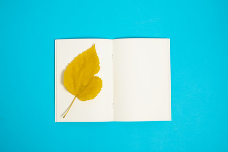 Top view of blank paper book with dry autumn leaf on the page.の写真素材