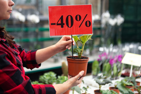 Anonymous woman holding pot with flower and plate with discount in it.の写真素材