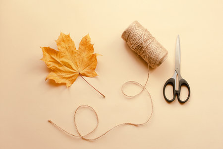 Autumn background in pastel colors with dry leaf, scissors and jute thread.の写真素材