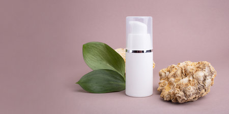 Cosmetics dispenser near podium of natural stone and glossy green leaves,eco friendly concept. Large banner with negative space.の写真素材