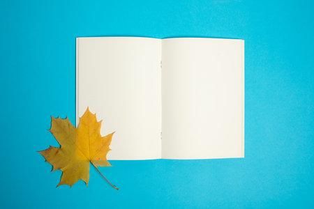 Top view of blank paper book with dry autumn leaf on the page.の写真素材