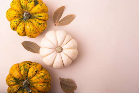 Horizontal pastel background with different sorts of pumpkins on it.Dry autumn leaves and seeds near.Pretty fall backdrop.の写真素材