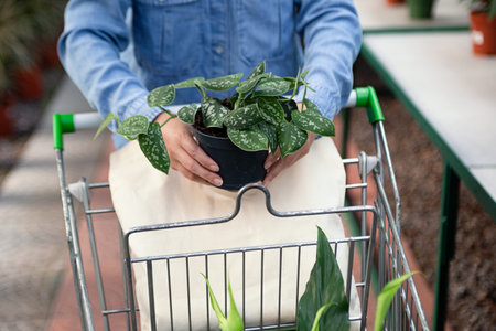 Anonymous woman choose new plant and placing it in shopping cart,blank eco friendly bag in it.