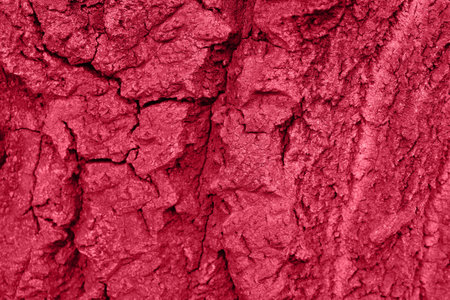 Closeup photography of tree bark texture, red color.の写真素材