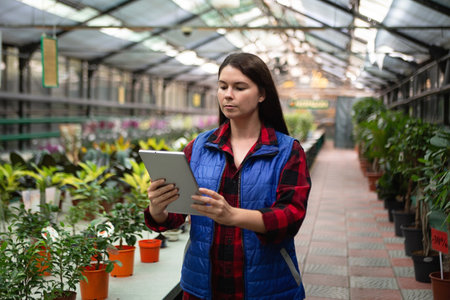 Woman working in greenhouse checking plants with tablet.の写真素材
