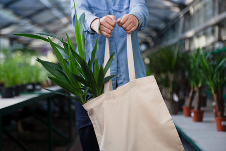 Anonymous woman holding eco friendly reusable bag in hands with yucca in it.Greenhouse on background.の写真素材