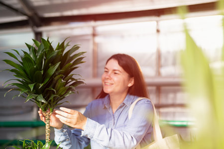 Defocused photography of woman with yucca in greenhouse.の写真素材