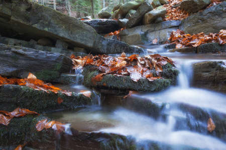 Water flowing between the stones in the beskids