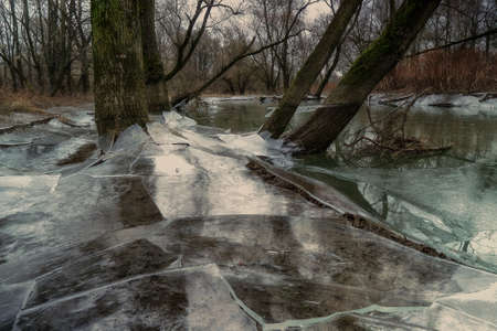 Winter landscape created by beavers and waterの写真素材