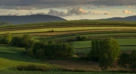 Sunset over the rolling hills of the Scottish Highlands in summer.