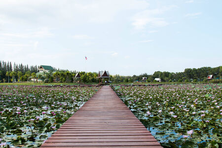 waterfront public rest-houseの写真素材