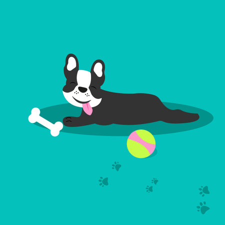 French bulldog playing with ball and bone. Concept for dog hair salon, grooming shop, store for pets.のイラスト素材