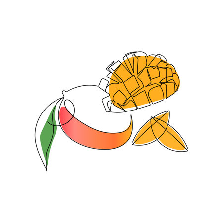 Mango tropical fruit. One line drawing art color illustration. Hand drawn vector illustration.のイラスト素材