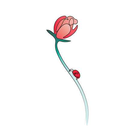 Ladybug sitting on a flower. One line art drawing. Spring vector illustration.のイラスト素材