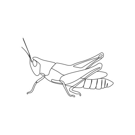 Grasshopper insect in one line drawing style. Minimal hand drawn vector illustration.のイラスト素材