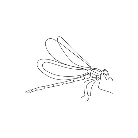 Dragonfly insect in one continuous line drawing. Minimal hand drawn vector illustration.のイラスト素材
