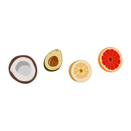 Set of exotic, tropical fruits. Cut in half coconut, avocado, lemon and grapefruit. Vector illustration.のイラスト素材